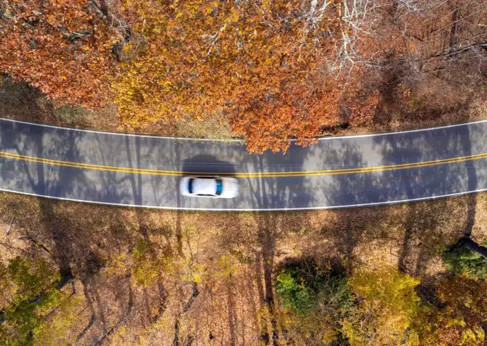 Roadtrip nelle Caroline: montagne, spiagge e città affascinanti - Scoperta delle Great Smoky Mountains - Foto del giorno