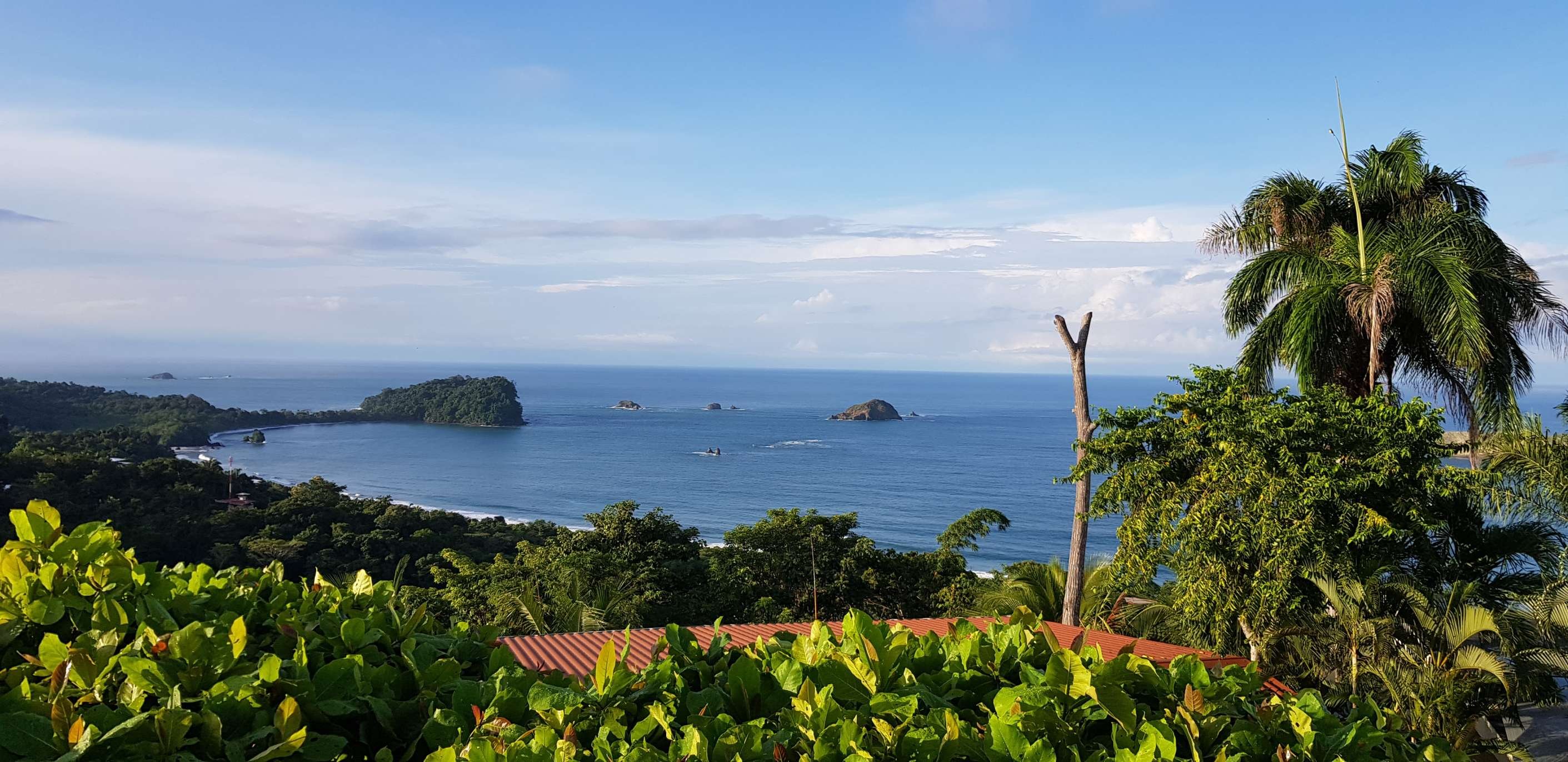 Aventure en famille au pays de l'or vert ! - Manuel Antonio - Aéroport Juan Santamaria - Manuel Antonio - Aéroport Juan Santamaria