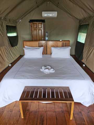 Experiência com Gorilas das Terras Baixas em África: Último Éden "GABÃO"