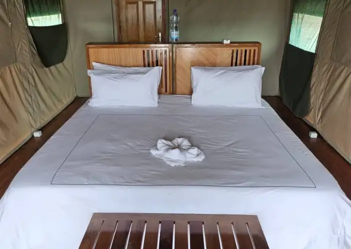 Experiência com Gorilas das Terras Baixas em África: Último Éden "GABÃO" - Partida para Port-Gentil e continuação da viagem para o Parque Nacional de Loango - Foto do dia