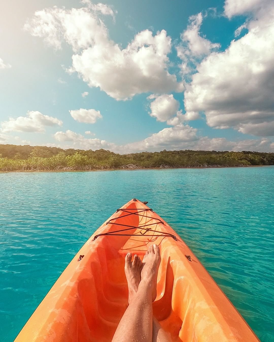 O circuito de Yucatán ☀️ - Caiaque ao nascer do sol: imersão na natureza - Foto do dia