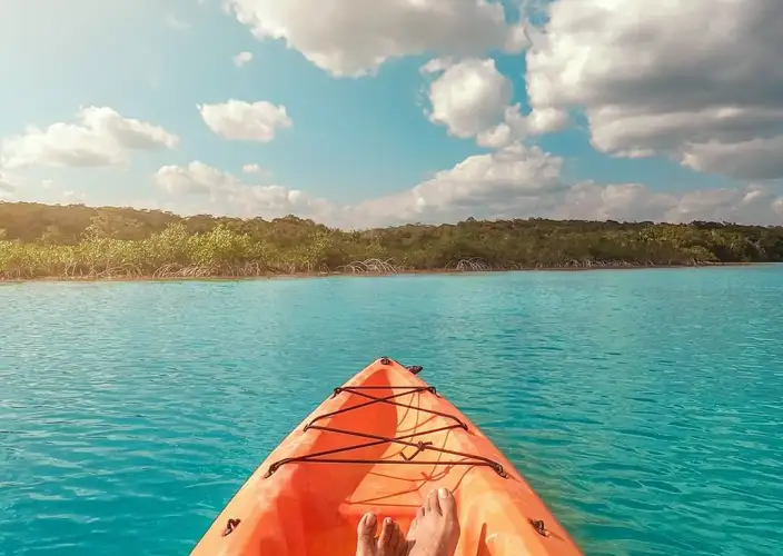 L’ANELLO DELLO YUCATÁN☀️ - Kayak all'alba: immersione nella natura - Foto del giorno