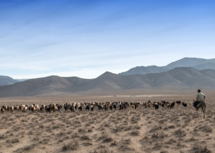 Ontdekking in Kirgizië en Oezbekistan - KHIVA / BOUKHARA (450 km over de weg) - Foto van de dag