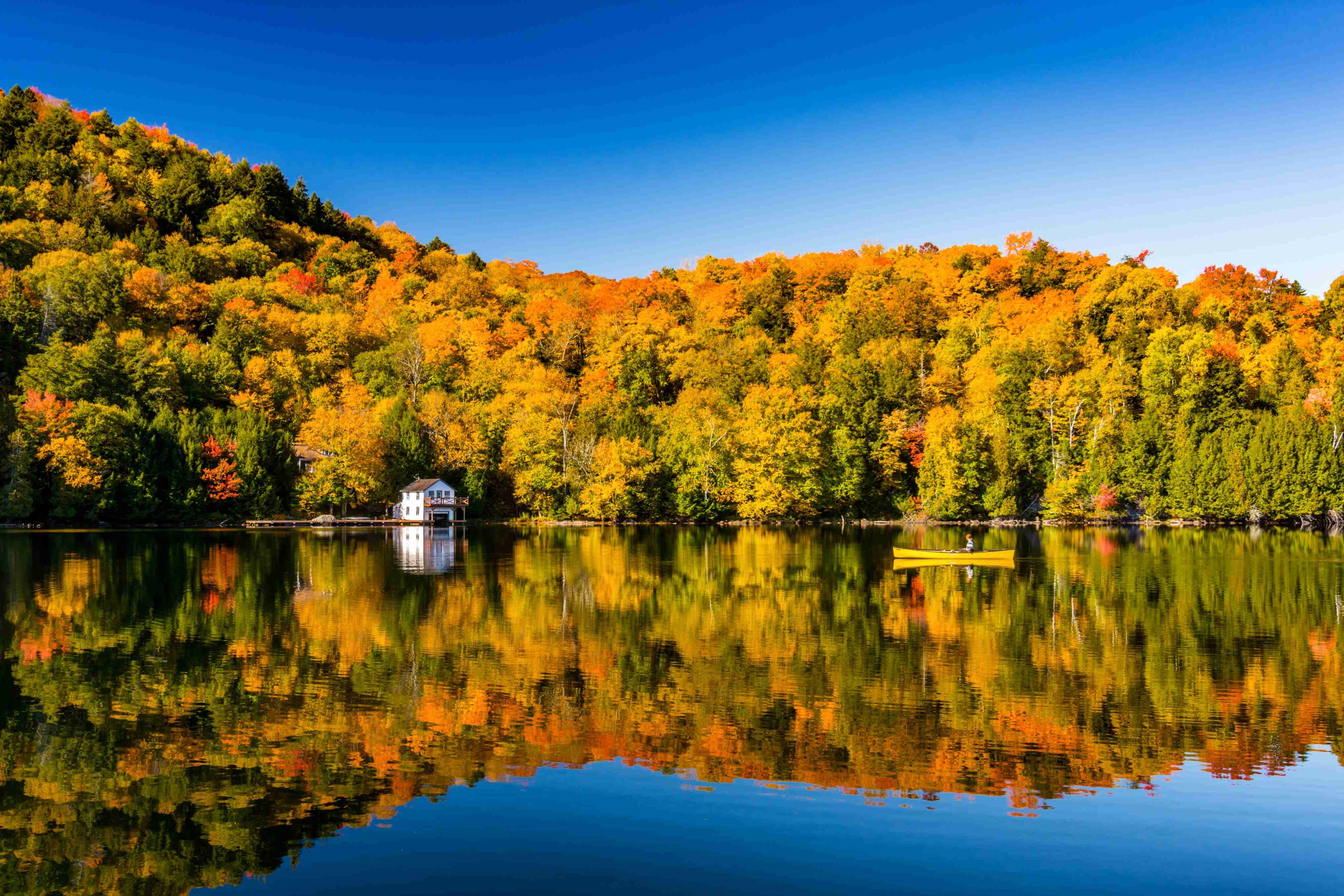 Les beautés cachées de la Gaspésie - Québec - Montréal (270 km) - Québec - Montréal (270 km)