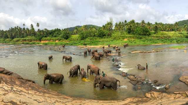 Strand en ontspanning in Sri Lanka
