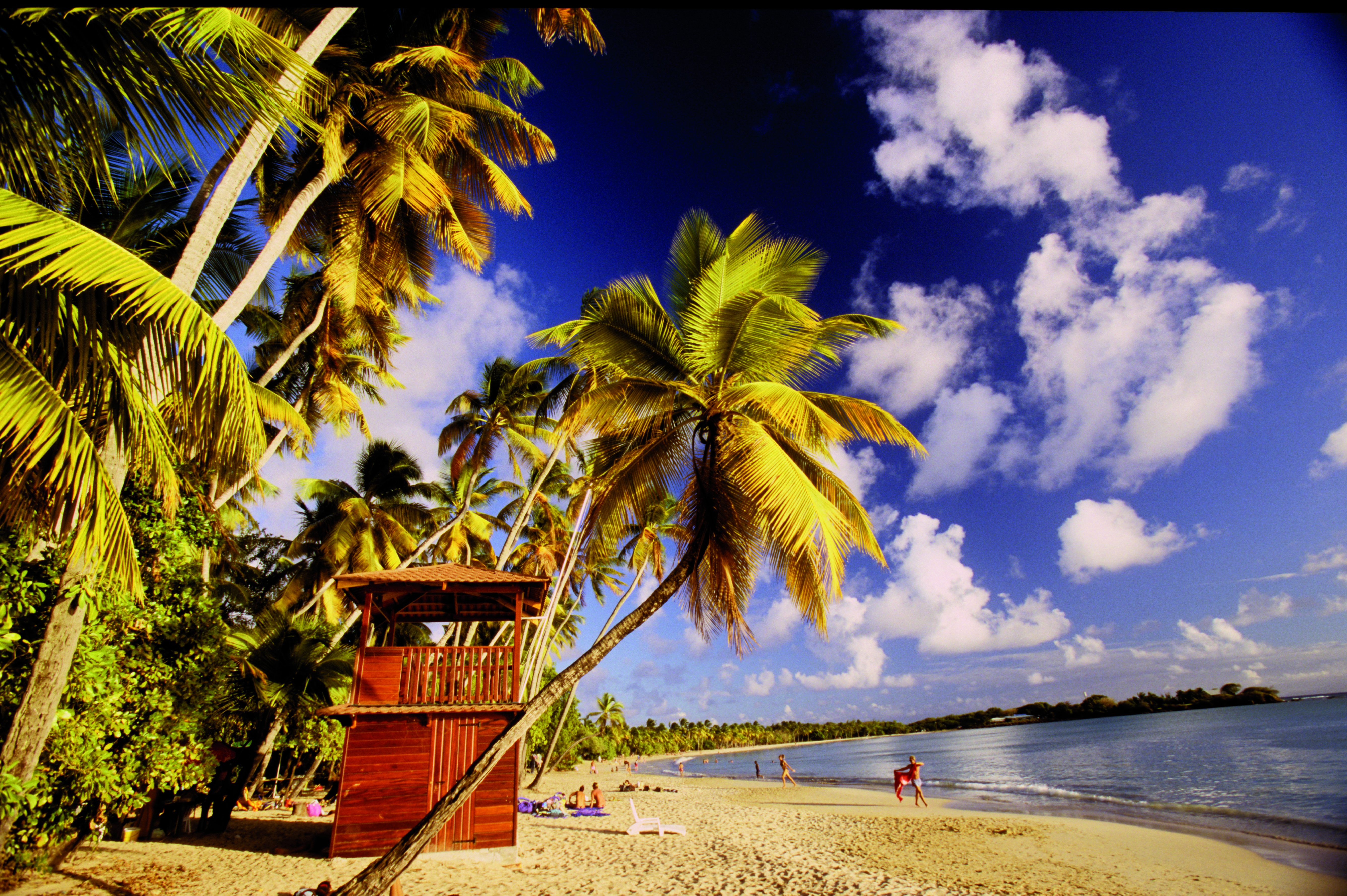 Paréntesis en el paraíso: estancia con encanto en una isla tropical privada - Relájese en su casa de huéspedes con encanto en una isla tropical. - Détente dans votre chambre d hotes de charme sur une ile tropicale