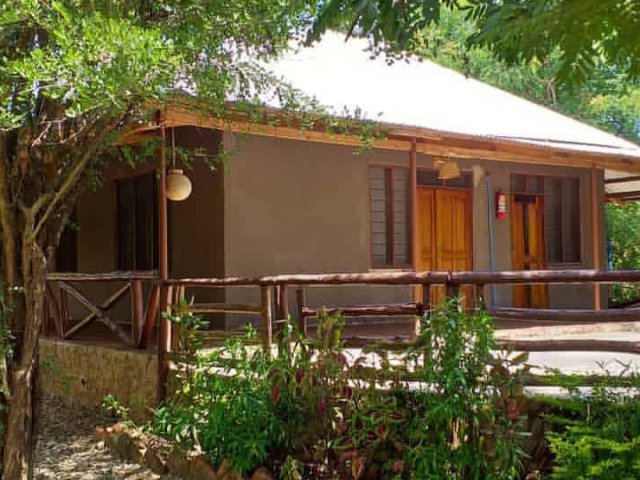 Explorez les paysages variés et la faune des trésors cachés de la Tanzanie