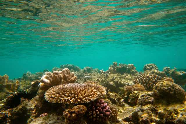 Safari de milieu de gamme dans le nord de la Tanzanie de 12 jours et sur l'île de Zanzibar.