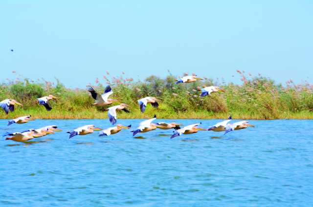 Kreuzfahrt an Bord der Bou El Mogdad