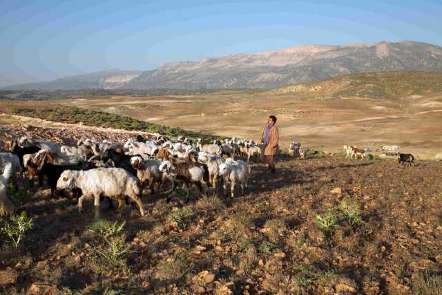 Azerbaijan and Kurdistan