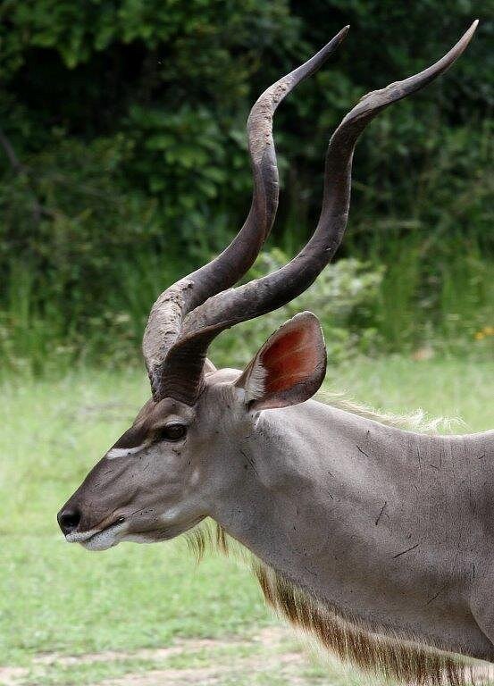 10-Day Private Tanzania Lodge Safari for Two - Tarangire - Full Day - Photo of the day