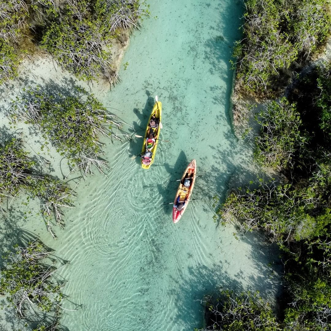 O circuito de Yucatán ☀️ - Caiaque ao nascer do sol: imersão na natureza - Foto do dia