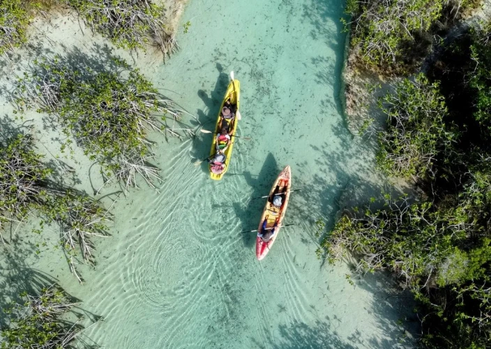 O circuito de Yucatán ☀️ - Caiaque ao nascer do sol: imersão na natureza - Foto do dia