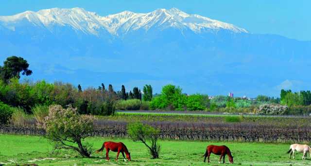 Senderismo en los balcones de Banyuls y Collioure