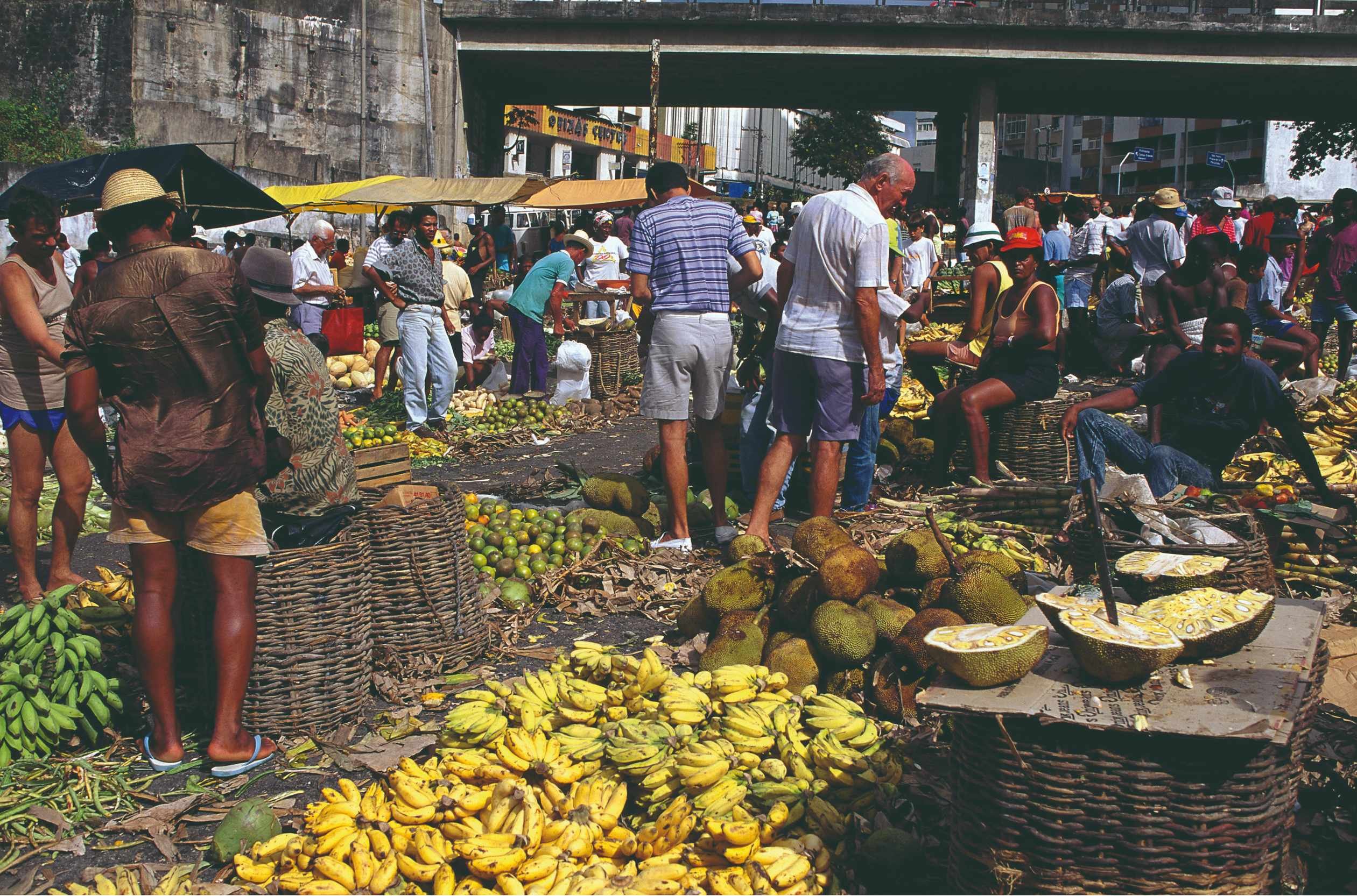 Irresistible trio: Rio de Janeiro, Iguaçu, Salvador. - Free day in El Salvador - Journée libre au Salvador