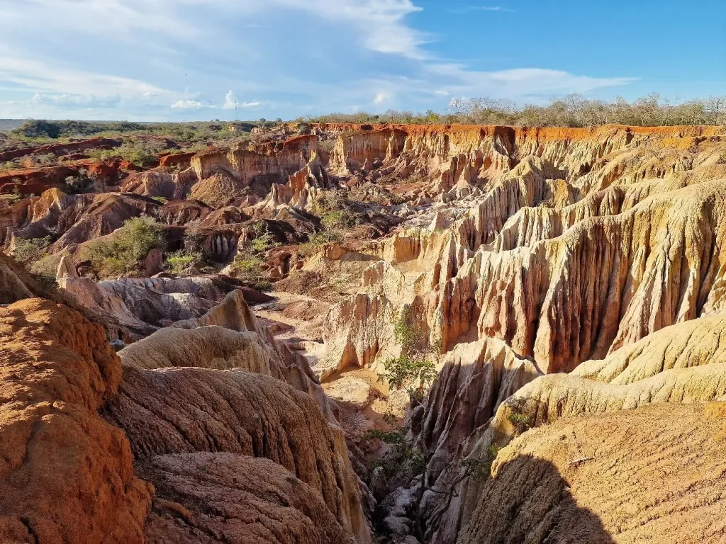 Kenya Swahili Heritage, Mombasa and Amboseli Safari - Full-Day Mambrui and Hell's Kitchen - Photo of the day