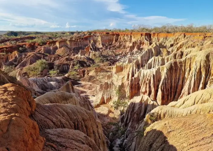 Kenya Swahili Heritage, Mombasa and Amboseli Safari - Full-Day Mambrui and Hell's Kitchen - Photo of the day