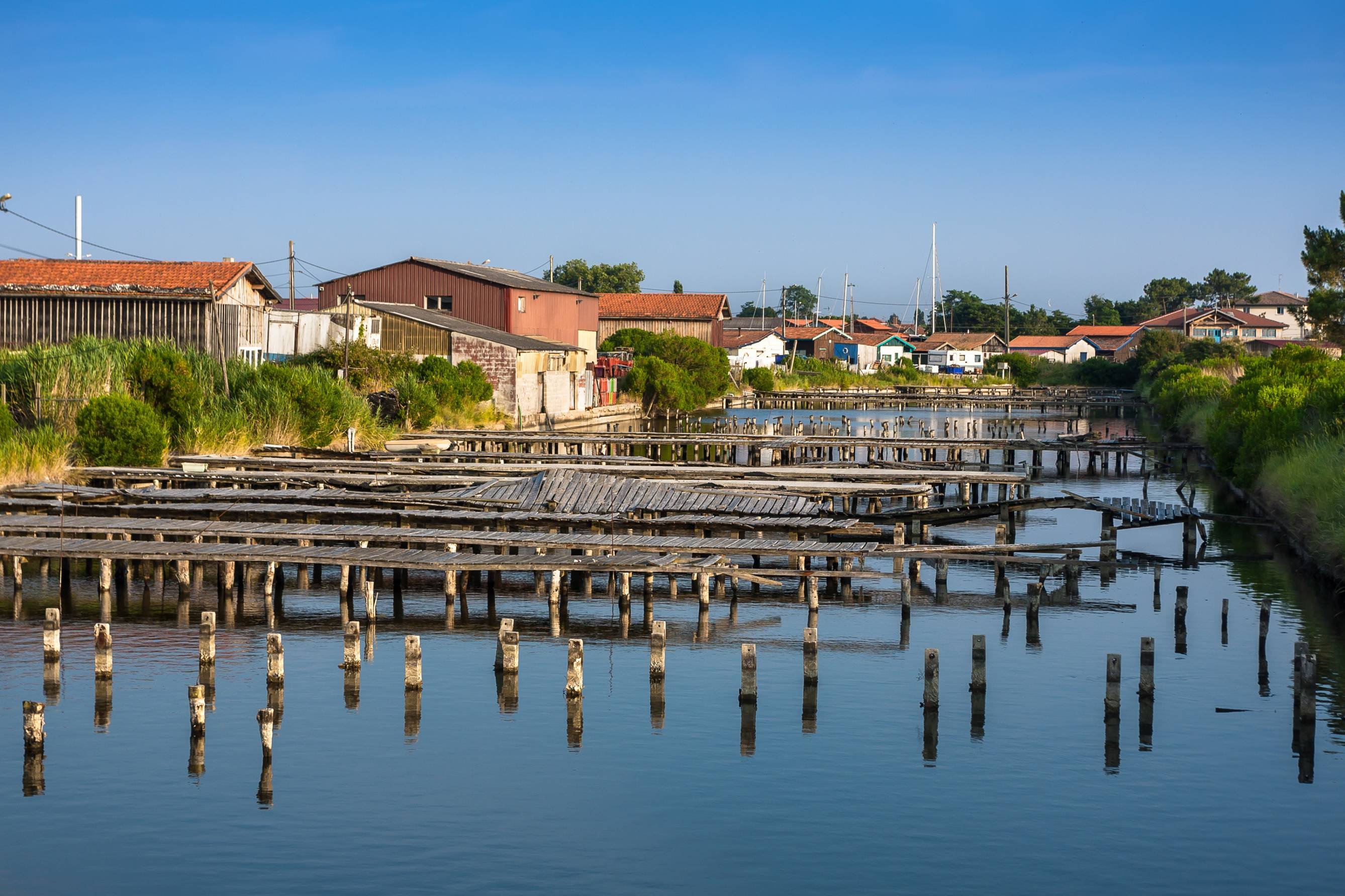 Saint-Émilion: mikken op het juiste millésime. - BASSIN D'ARCACHON - BASSIN D ARCACHON
