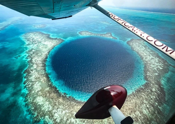 Descubra Belize: Praias Tropicais & Natureza Selvagem - Tour de escala no Blue Hole - Foto do dia