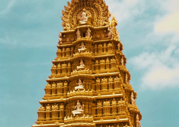 Circuit van de architectuur van de tempels in Zuid-India: een begeleide, privé en exclusieve reis langs UNESCO-werelderfgoedlocaties - Paleis van Mysore en Chamundeshwari-tempel - Foto van de dag