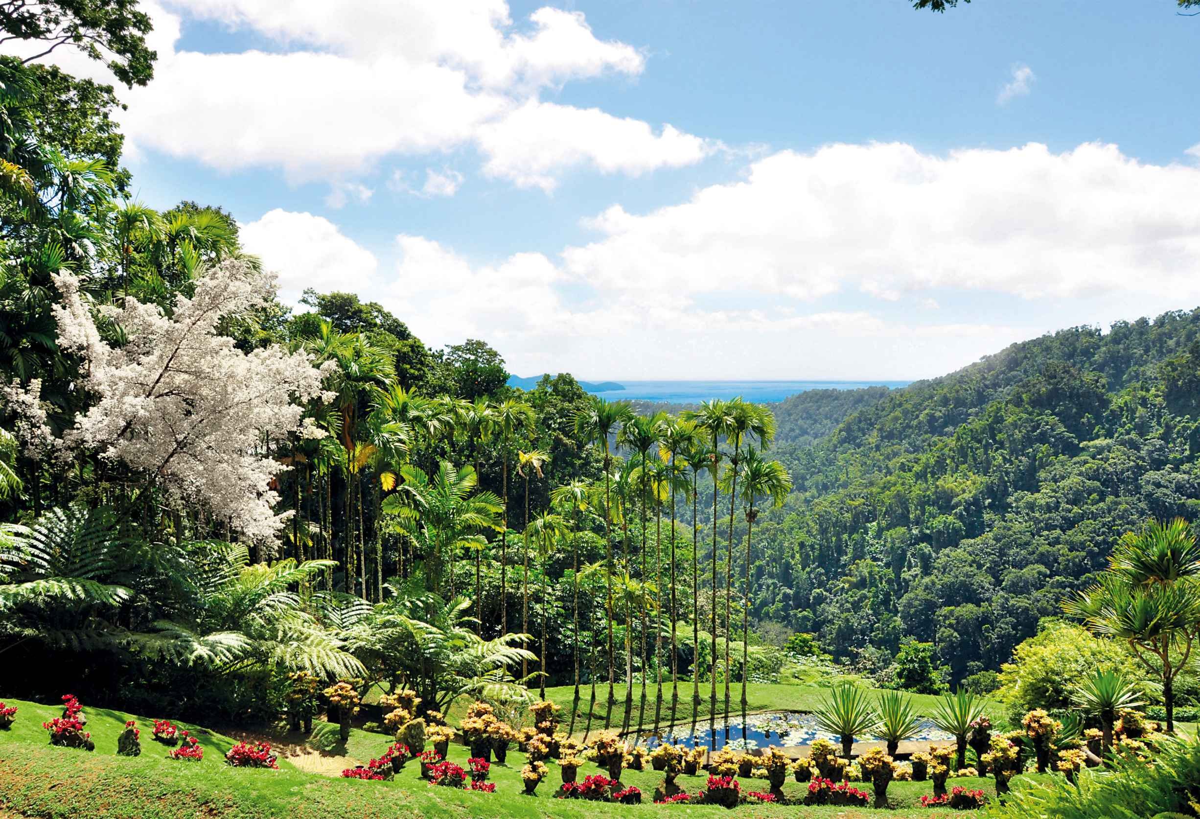 La Martinique du Sud au Nord en 8 jours - Départ - Départ