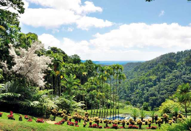 La Martinica da Sud a Nord in 8 giorni