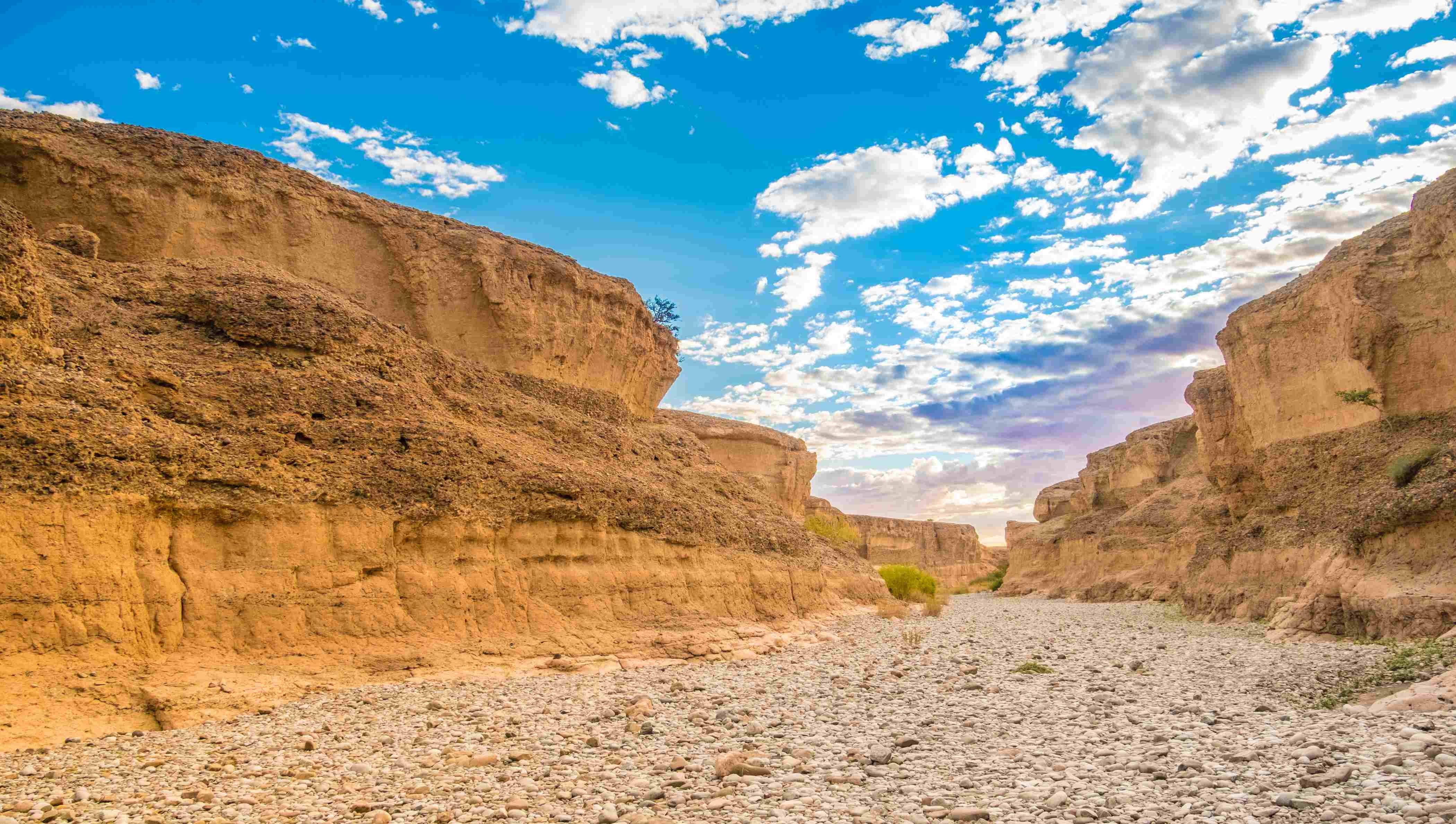 L'essence de Namibie - RETOUR OTJIWARONGO - OKAHANDJA - AÉROPORT - RETOUR OTJIWARONGO - OKAHANDJA - AEROPORT