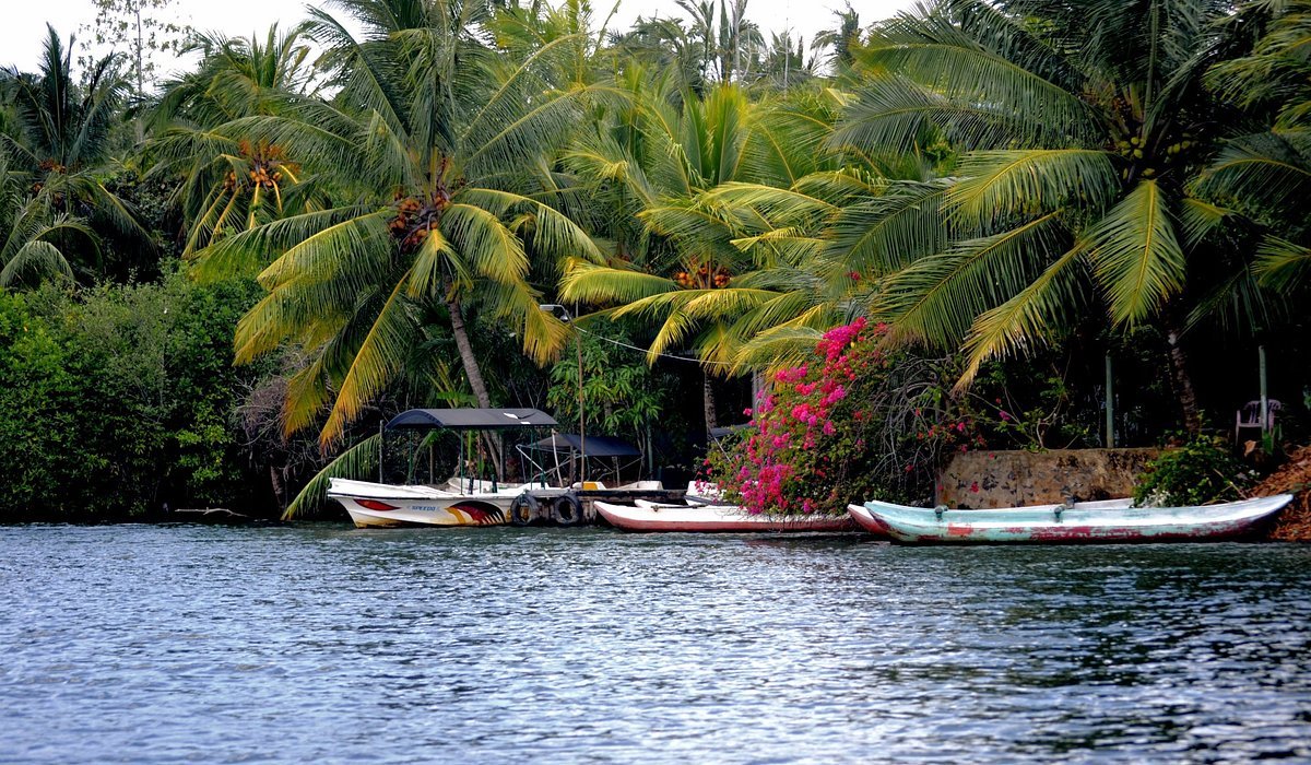 Esplora la Mitica Ceylon - null - Foto del giorno