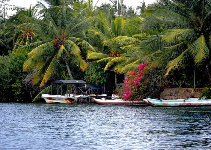 Esplora la Mitica Ceylon - null - Foto del giorno