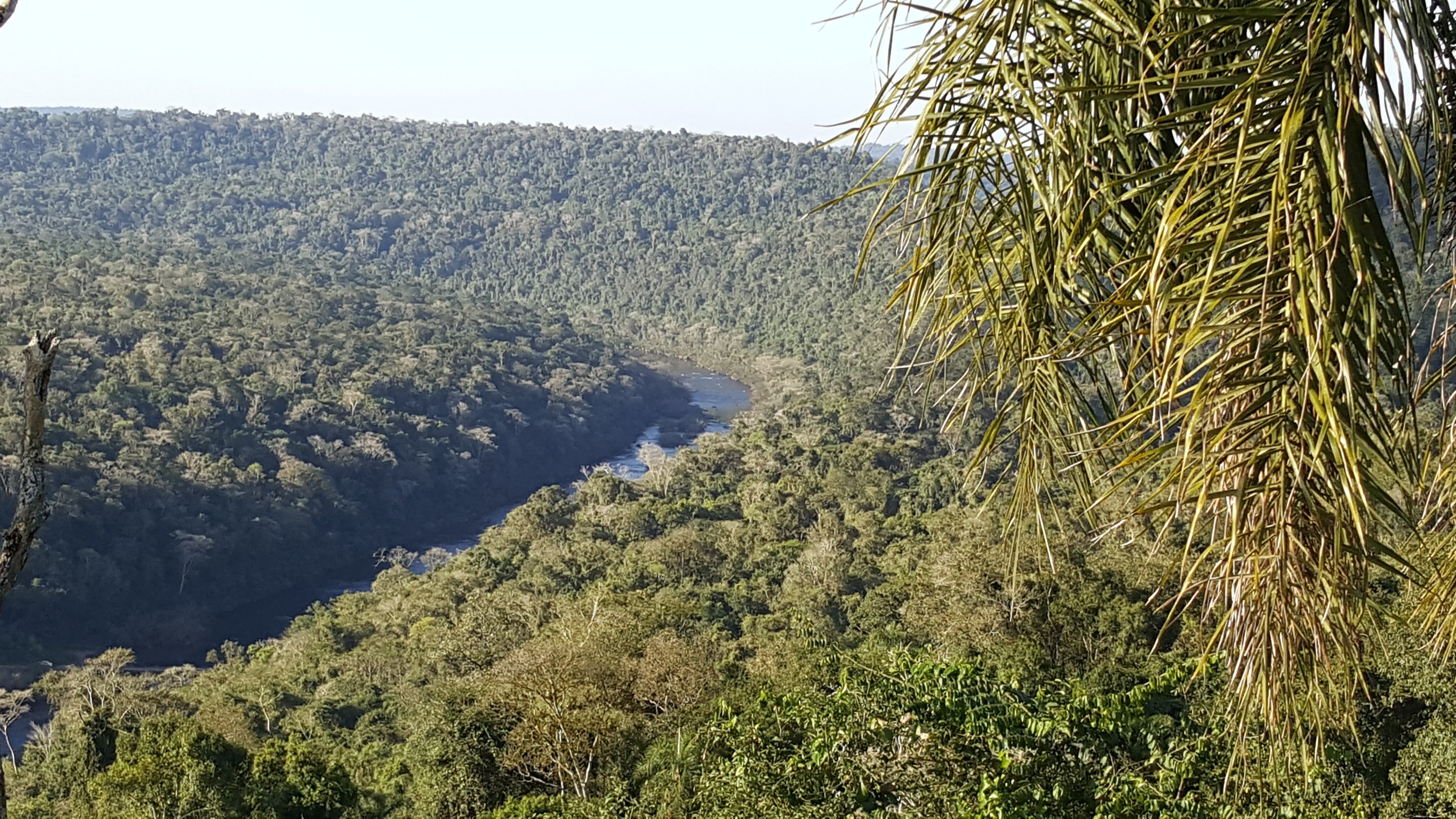 De onontdekte wonderen van het noordoosten van Argentinië - Surucua Lodge - Saltos del Moconá - Surucua Lodge - Saltos del Mocona