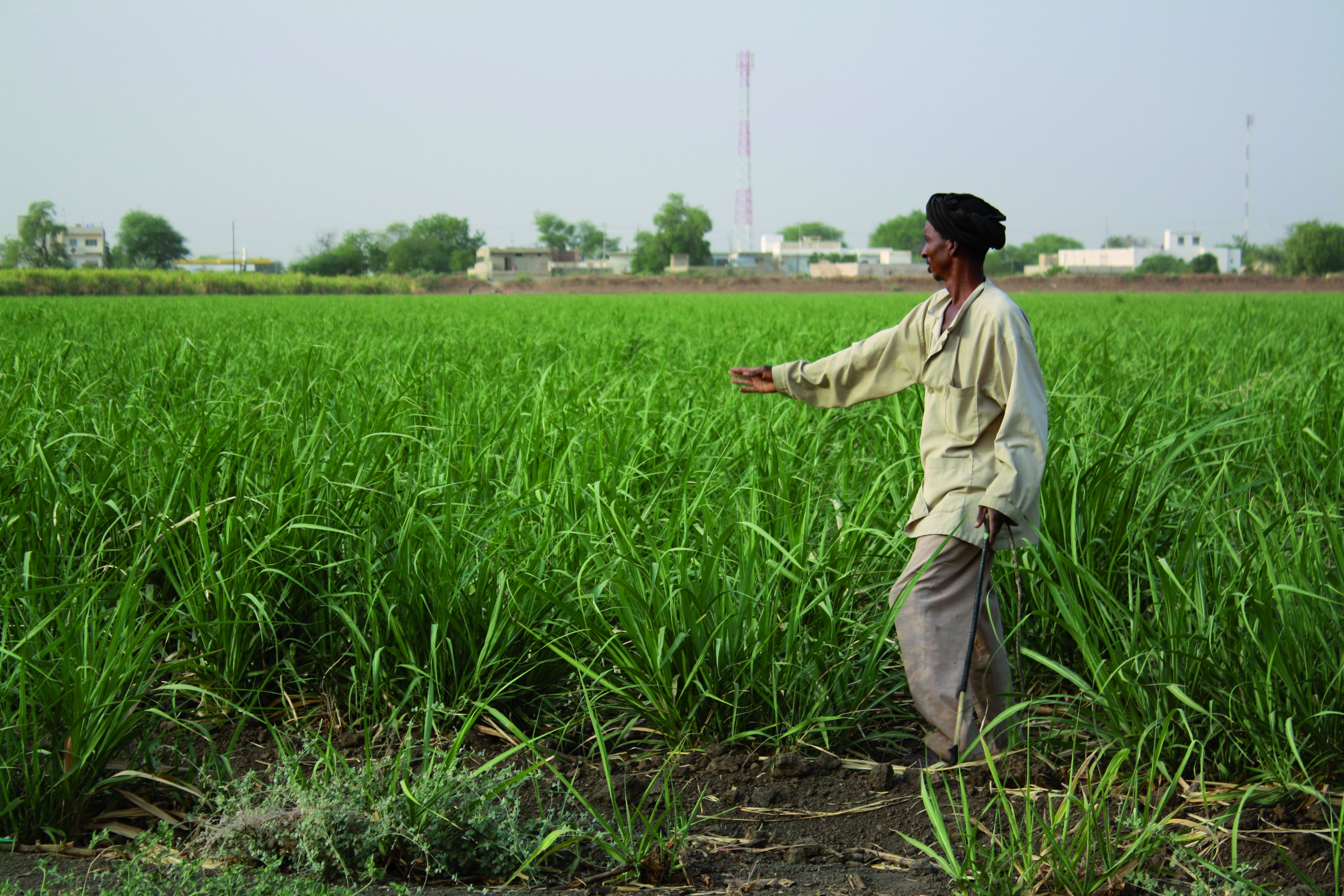 Cruise aan boord van de Bou El Mogdad - TIGUET - RICHARD TOLL - TIGUET - RICHARD TOLL