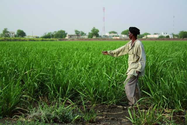 Kreuzfahrt an Bord der Bou El Mogdad