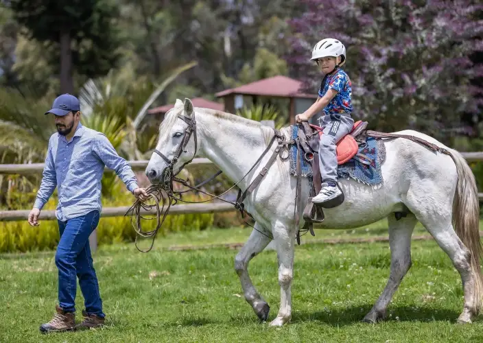 Cotopaxi Lama Express - Jour libre - Photo of the day