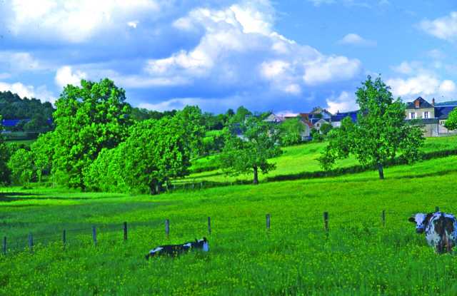 Retiro de ioga Pais-Filhos no Morvan