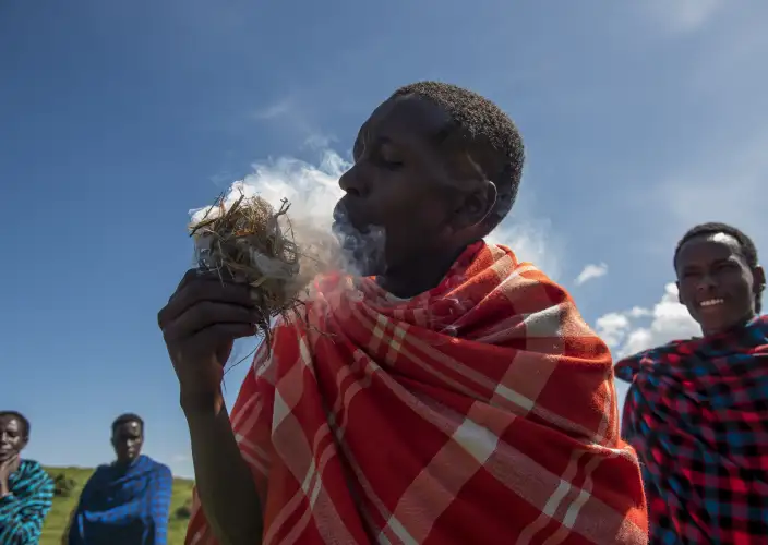 7 Tage Der Kreis des Lebens: Ein Kalbungs-Safari-Erlebnis - Ndutu nach Zentral-Serengeti-Nationalpark - Tagesfoto