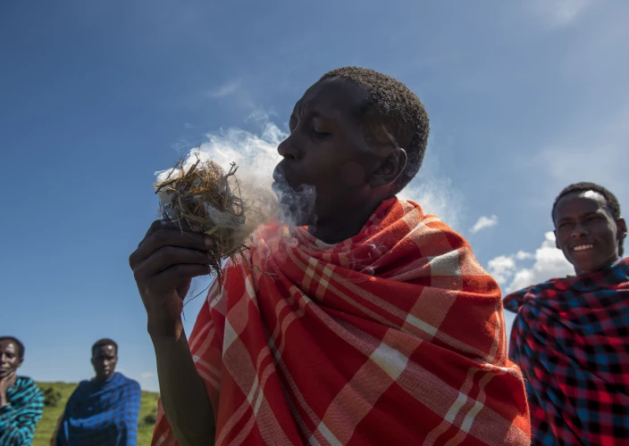 7 Dagen The Circle of Life: Een Calving Safari Ervaring - Ndutu naar Centraal Serengeti Nationaal Park - Foto van de dag
