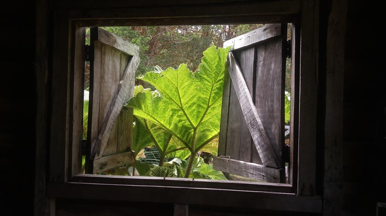 De l'Atacama à la Patagonie, 18 jours au Chili. - CASTRO - PUERTO MONTT / PUNTA ARENAS - CASTRO -  PUERTO MONTT / PUNTA ARENAS