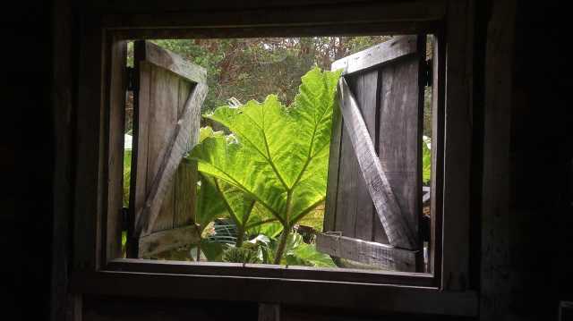 Van de Atacama tot Patagonië, 18 dagen in Chili.