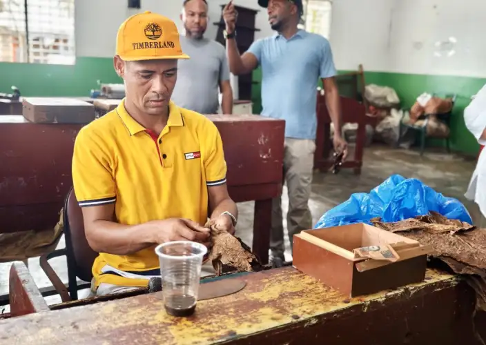 Bayahibe und Los Haitises - Safari-Entdeckung des dominikanischen Hinterlandes - Tagesfoto