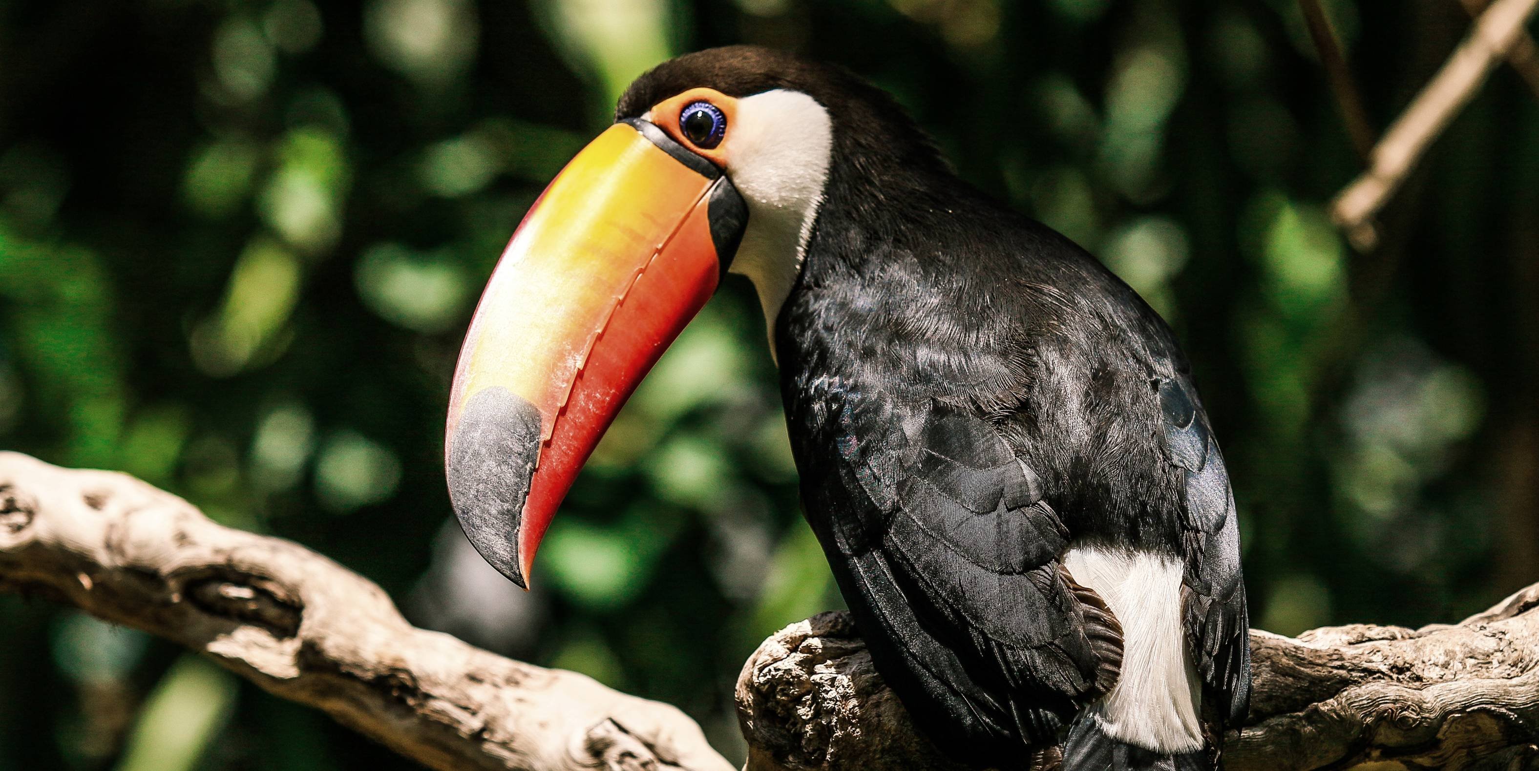 Op zoek naar Eldorado - Kaka-rivier - Rivière Kaka