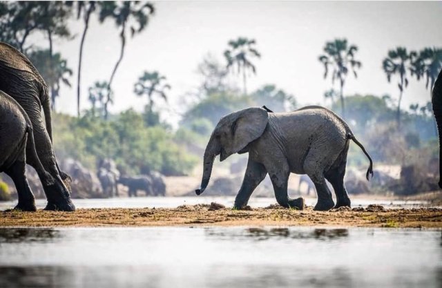 La puerta mágica al sur de Tanzania