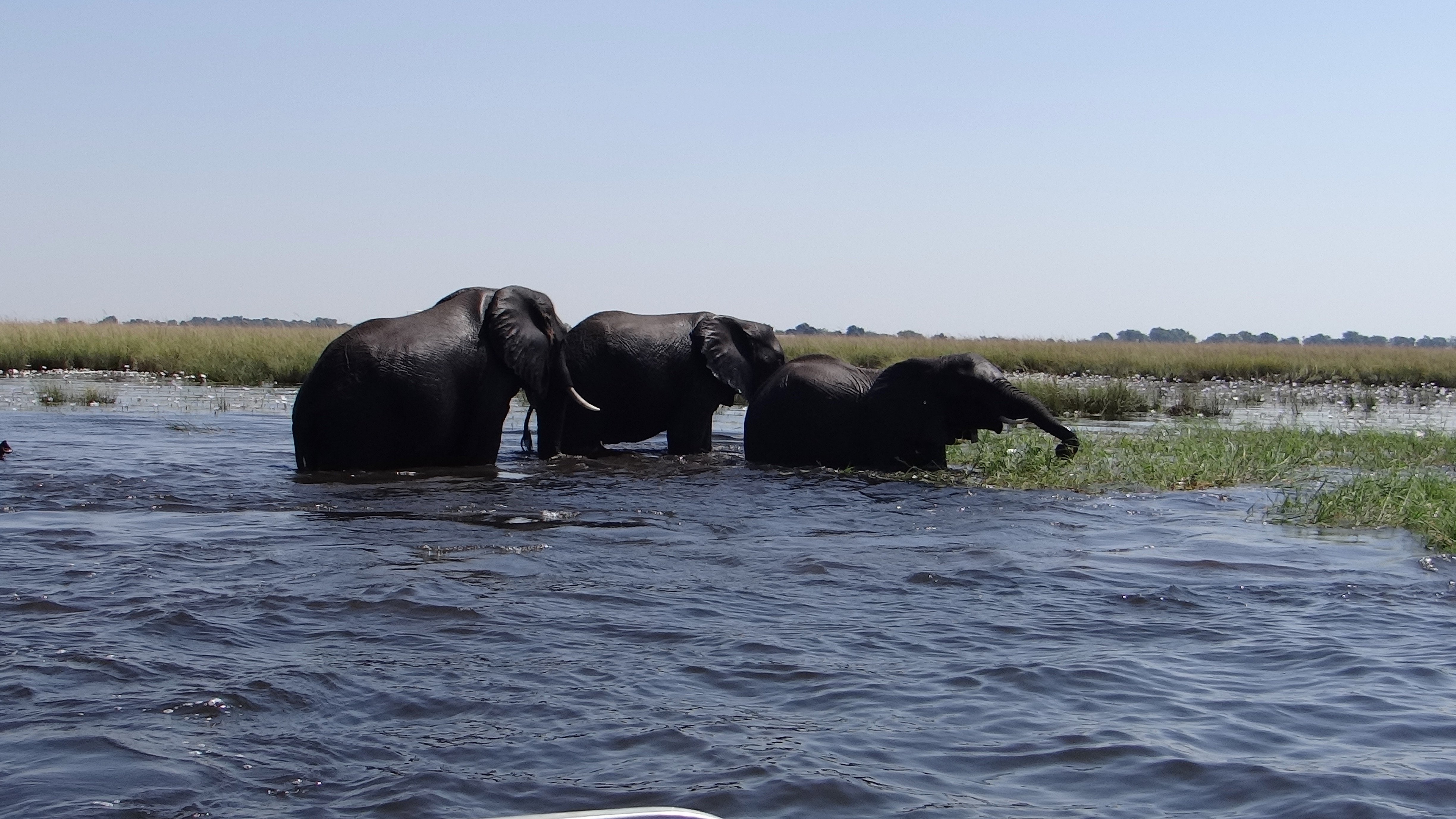 Botsuana visto desde el cielo - null - Foto del día