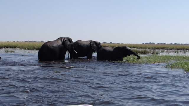Le Botswana vu du ciel