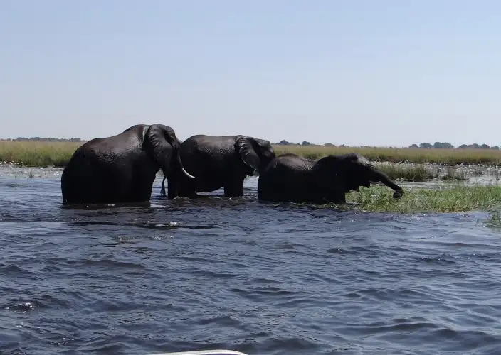 Botswana aus der Luft gesehen - null - Tagesfoto