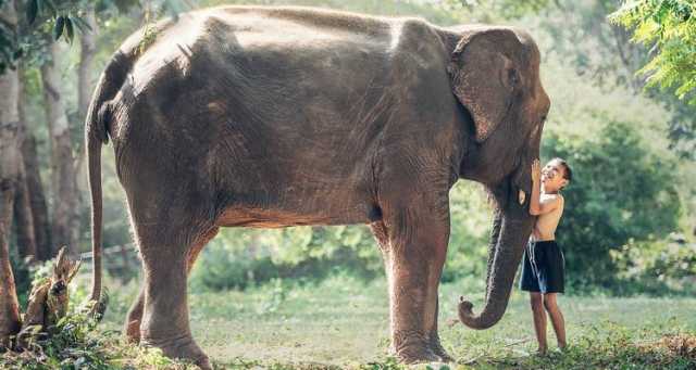 Cambodja met het gezin
