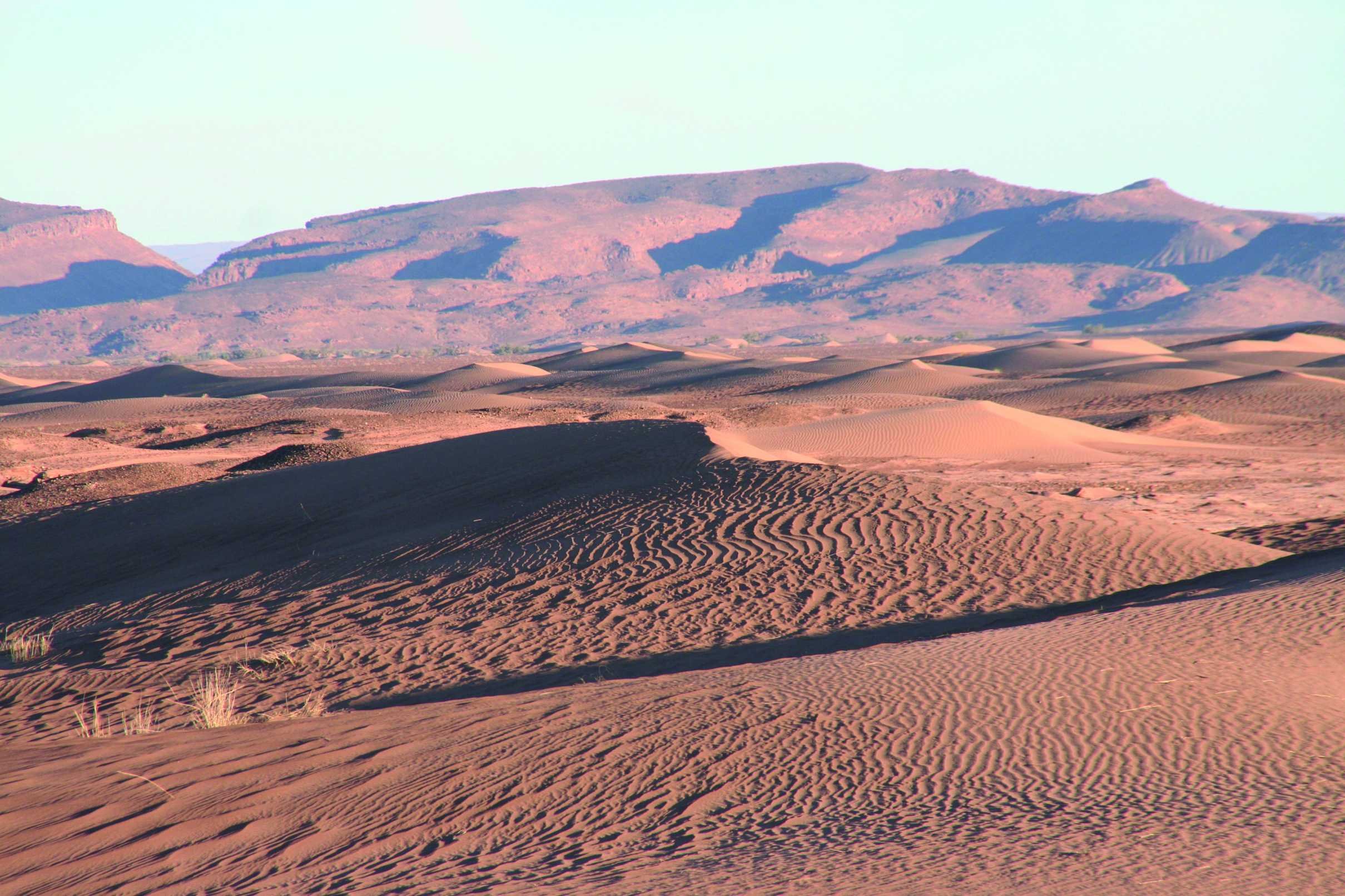 New Year's Eve in Morocco... under the stars of the desert. - Blida - Oasis of Tiraf - Blida - Oasis de Tiraf