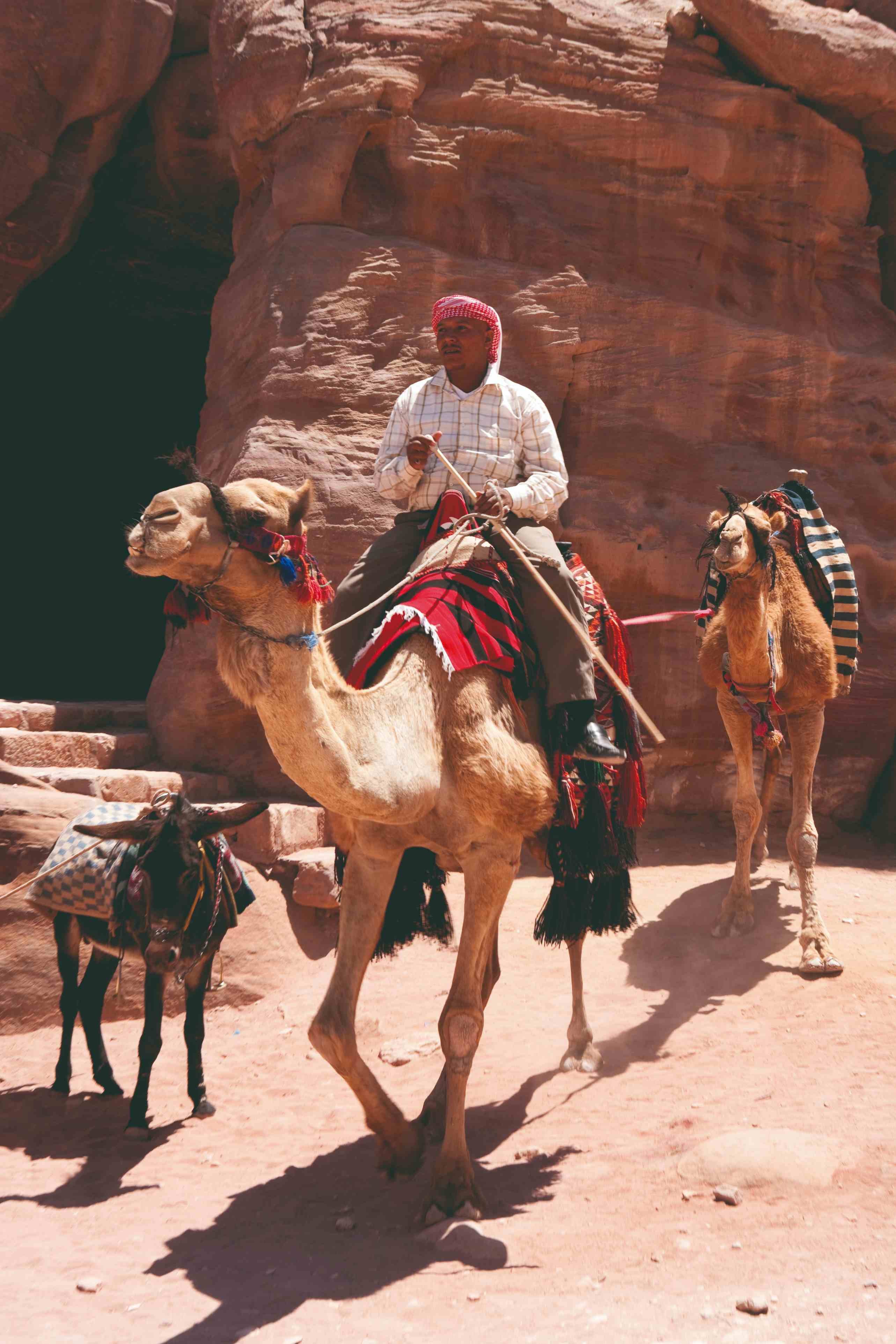 Traversée de la Jordanie - Vol retour - Vol retour