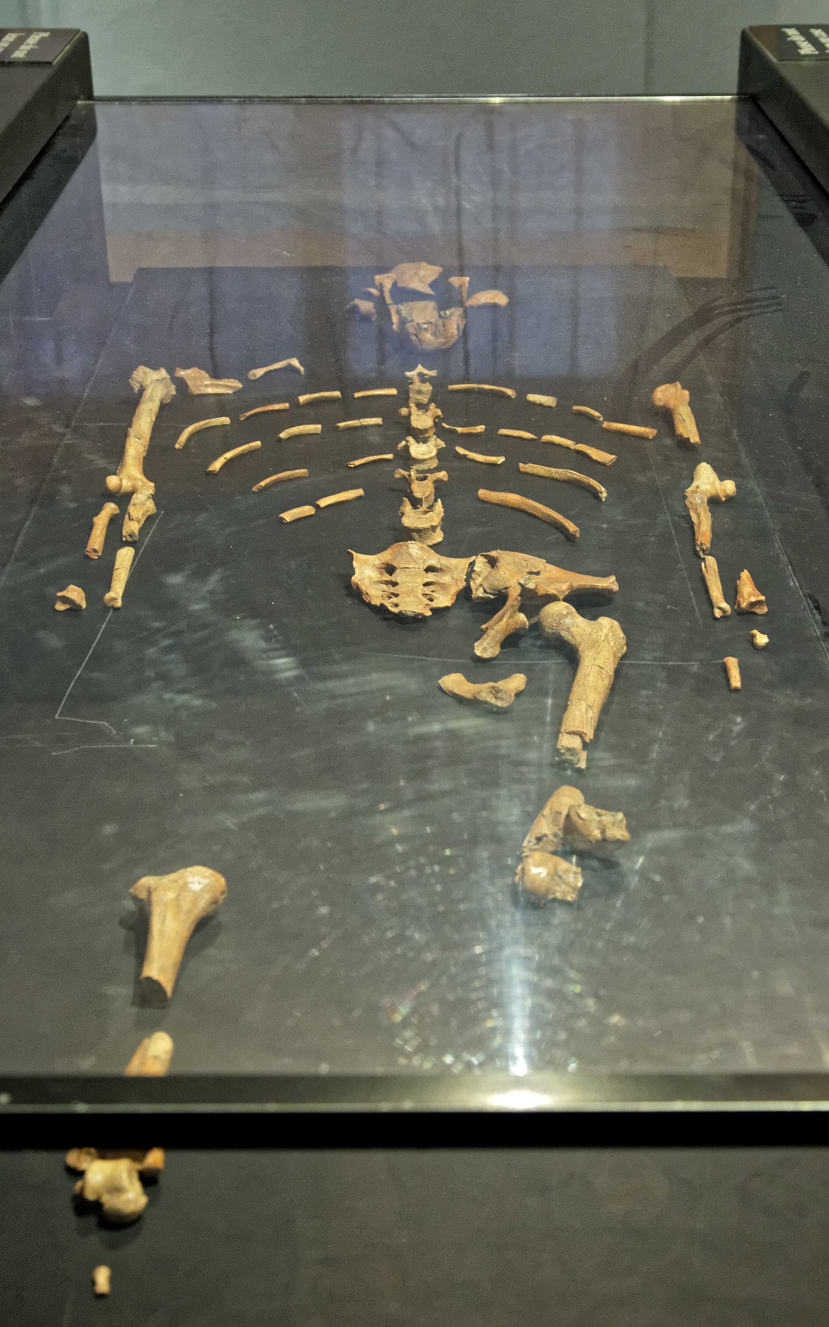 12 Tage in Äthiopien: Entdeckung der Völker des Omo-Tals - Ankunft und Besichtigung der Hauptstadt - Arrivée et visite la capitale