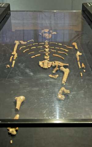 12 días en Etiopía: descubriendo los pueblos del valle del Omo