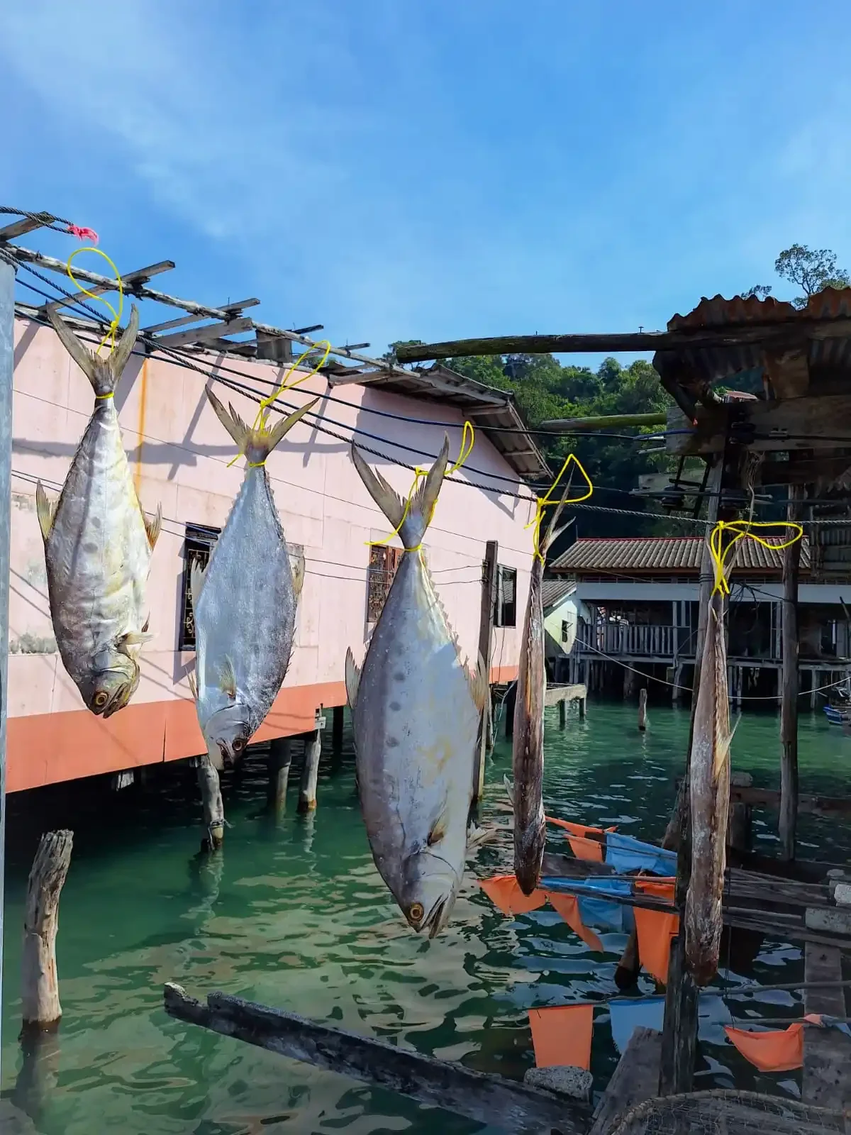 Thailand in 3B: Bangkok, beaches and bungalows - Koh Kood at liberty - Photo of the day